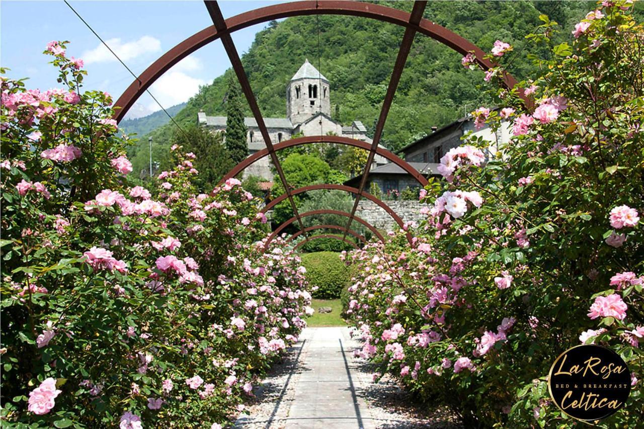 B&B La Rosa Celtica Capo di Ponte Buitenkant foto